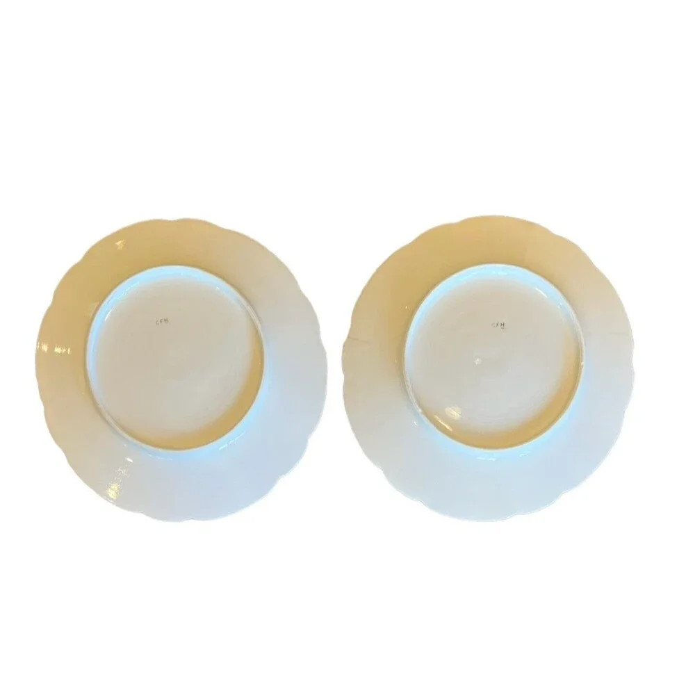 Charles Field Haviland Salad Plates 8 1/2” (Set of 2)